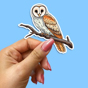 Sticker chouette effraie des cloches, autocollant en vinyle pour les amoureux de la nature et les amateurs de décoration, adhésif motif chouette pour ordinateurs portables, bouteilles d'eau et plus