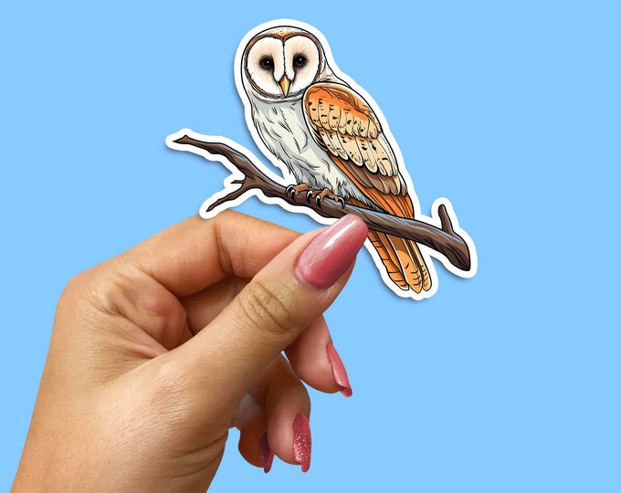 Barn Owl Vinyl Decal: Nature Lover Sticker