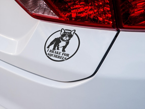 Funny Dog Car Vinyl Decal I Brake For Squirrels - Pet Lover Bumper Sticker Gift