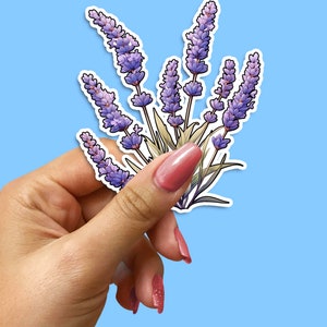 Lavender Decal, Lavender Sticker, Floral Vinyl, Botanical Wall Art, Purple Flower Emblem, Garden Decor, Plant Illustration, Nature Adhesive
