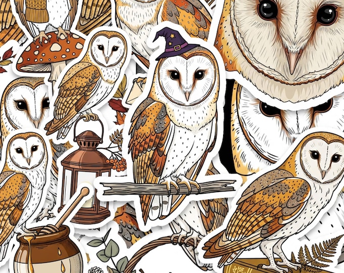 Barn Owl Sticker Pack Glossy Vinyl 2 Inch Cottagecore Animal Set