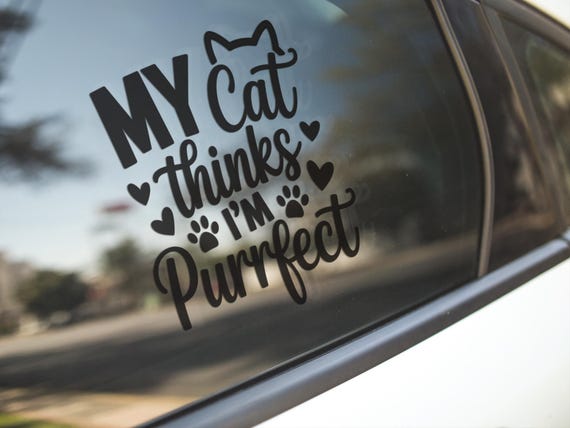 Purrfect Cat Vinyl Decal, My Cat Thinks I'm Purrfect Vinyl Decal, Cat Lover Gift, Funny Cat Decal, Pet Decal, Car Decal