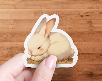 Cute Sleeping Bunny Sticker, Anime Rabbit Illustration, Laptop and Water Bottle Decor, Kawaii Animal Sticker, Pastel Art Bunny Decal