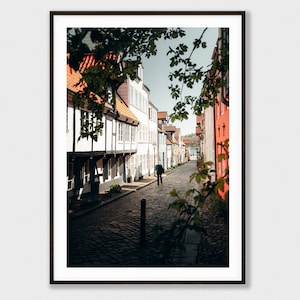 May include: A narrow cobblestone street lined with white and red buildings in a European city. Lush green foliage frames the scene, and a single person walks down the street.