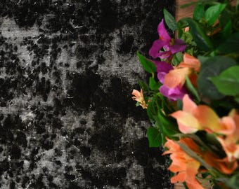May include: A close-up of a black and white patterned rug with a distressed design. The rug has a textured appearance. A bouquet of flowers with purple and orange petals and green leaves is in the upper right corner.