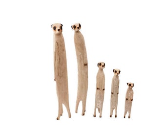 Zim Meerkats