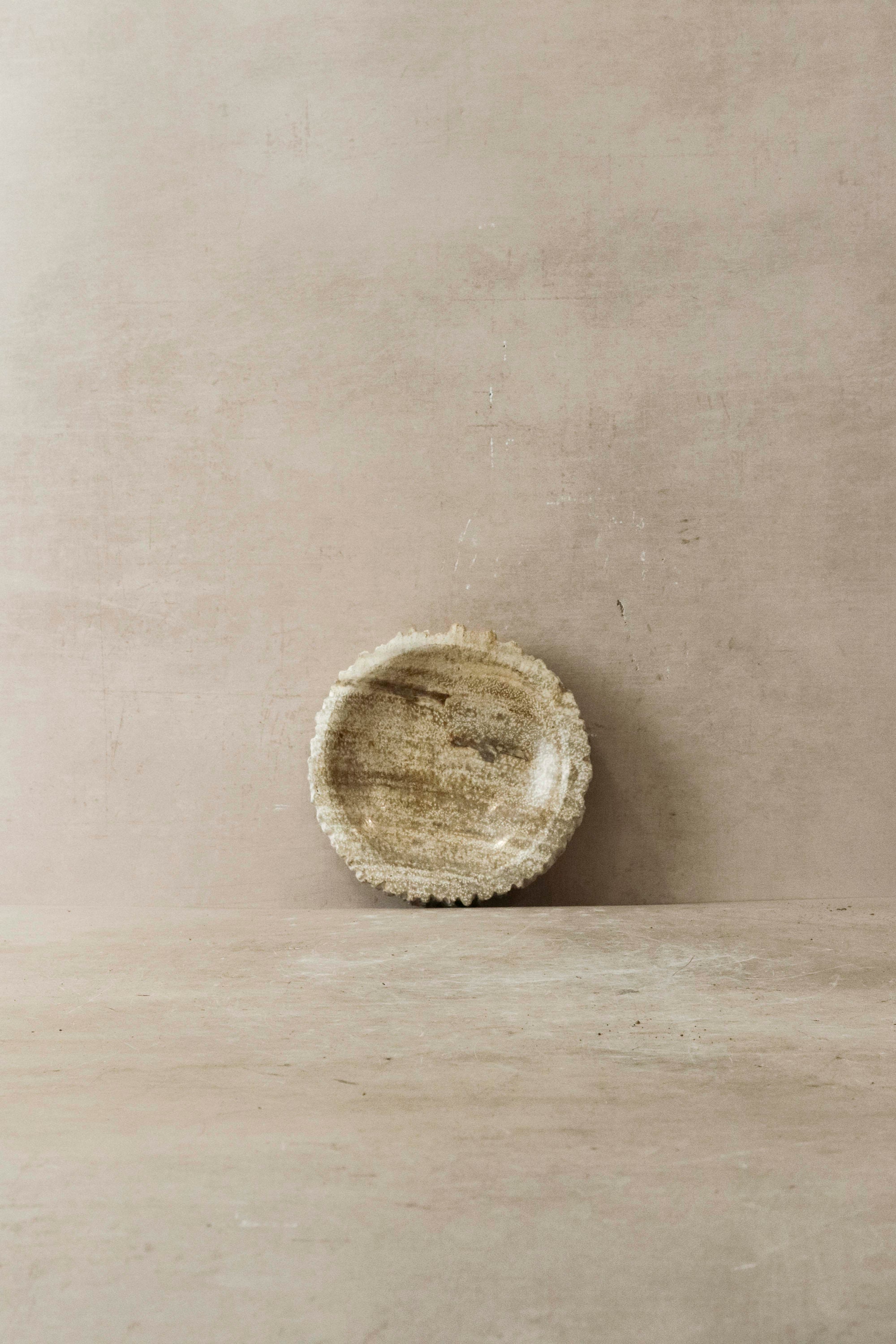 Petrified Wood Tray 1 - Etsy