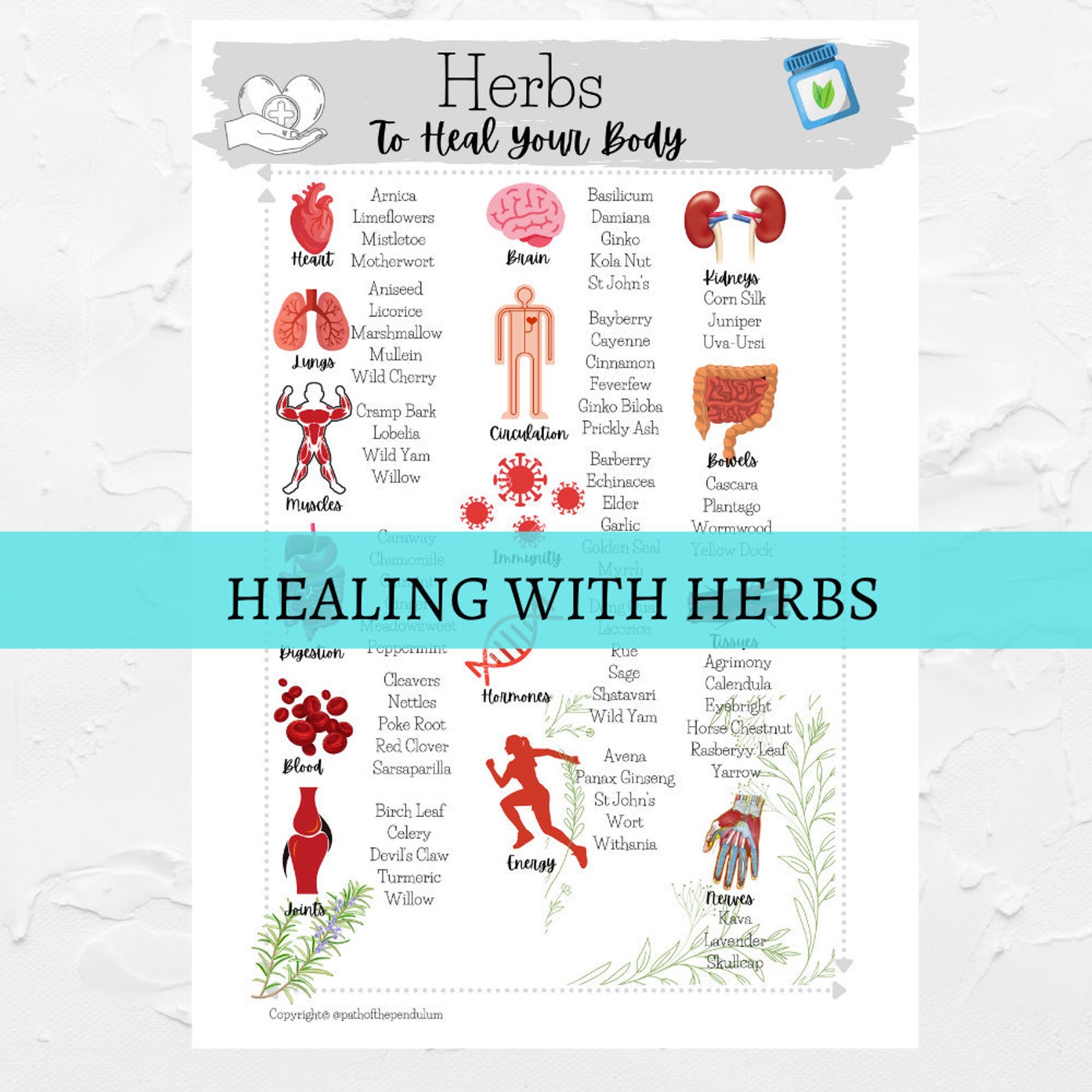 HERB JOURNAL PAGE Printable Herb Pdf Printable Herb Etsy