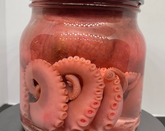 Large octopus wet specimen, pink stained octopus in isopropyl alcohol & quality glass enclosure