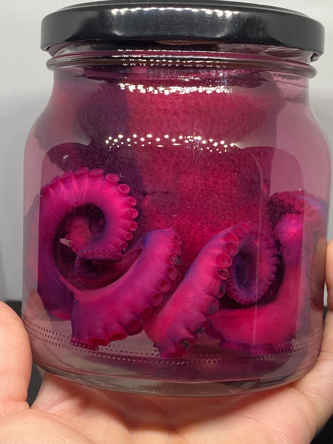 Realbug Octopus Specimen | DesertCart