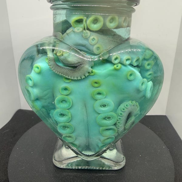 Large green stained partial Octopus wet specimen in glass heart jar