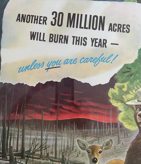 Rare 1949 Vintage Original Smokey the Bear Large 18 X 26 Fire