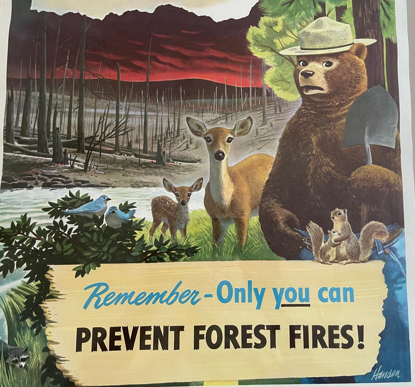 Rare 1949 Vintage Original Smokey the Bear Large 18 X 26 Fire