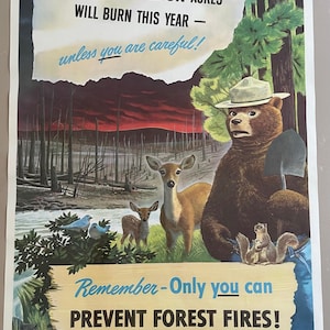 Raro póster de papel para prevención de incendios original de Smokey the Bear de 1949, tamaño grande, 18 x 26, nuevo y antiguo