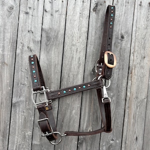 May include: A dark brown leather horse halter featuring turquoise stone inlays and small copper-colored metal studs along the cheek pieces and noseband. The halter includes silver-toned metal buckles, rings, and a snap hook for adjustment.