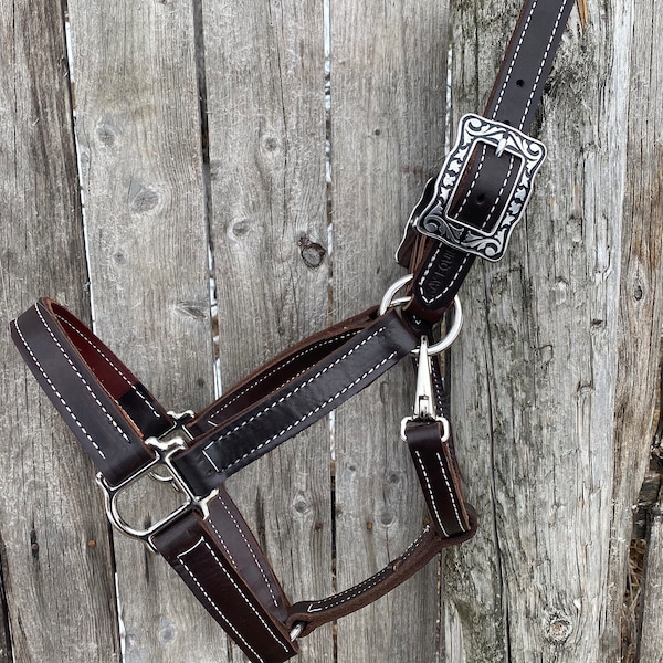 Leather Horse Halter Etsy