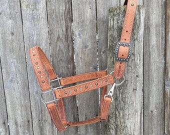 Nickel & Antique Nickel Leather Halter