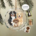 Hand-Painted Pet Portrait From Photos Ornament, Family Portrait with Pet Christmas Keepsake