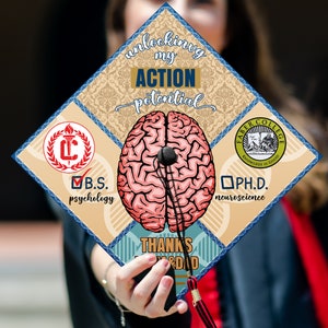 May include: A graduation cap decorated with a brain graphic and the text "unlocking my ACTION potential". The cap also features the text "B.S. psychology" and "Ph.D. neuroscience" along with the logos for Faber College and a university with the initials "LC".