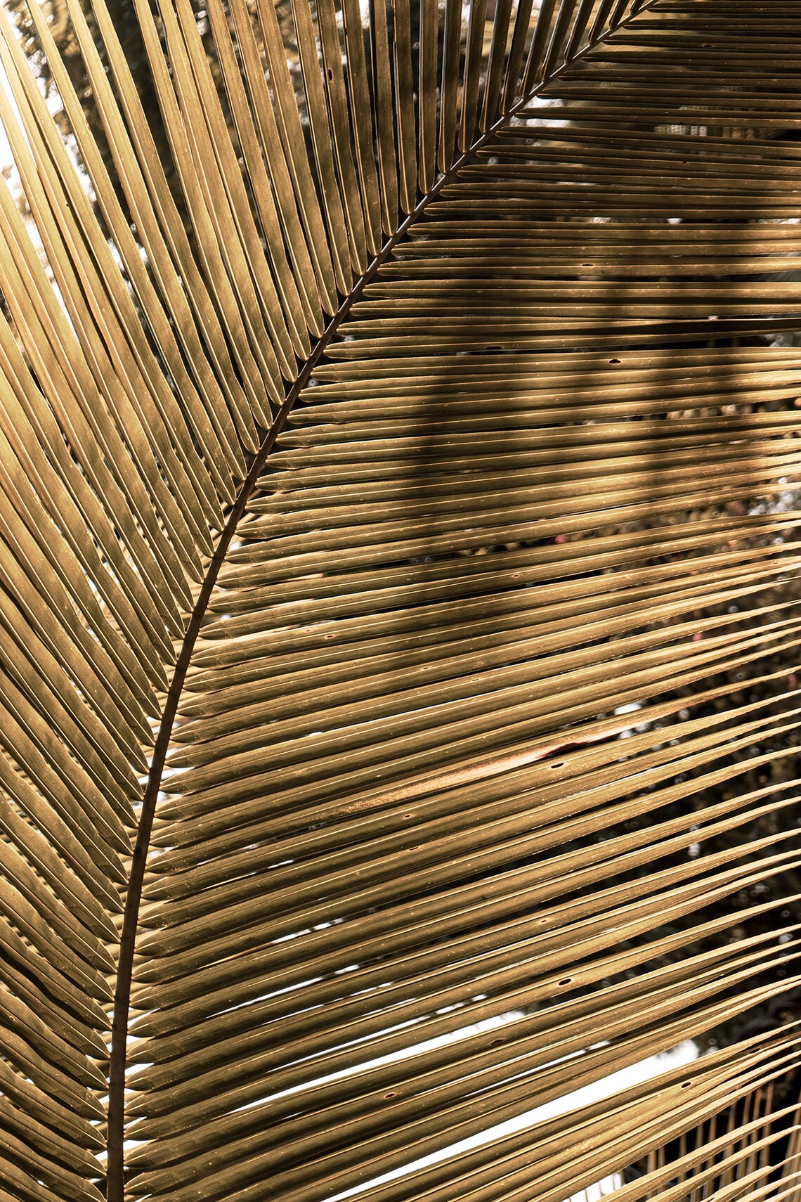 Tropical Downloadable Print Sepia Photography Wall Art Etsy