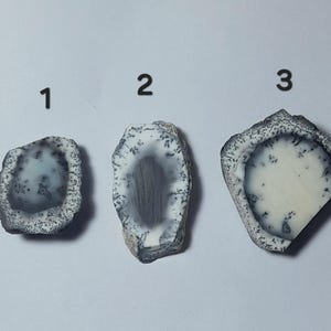 Puede incluir: Tres piedras de ágata en bruto y pulidas con patrones únicos. Cada piedra presenta un área central gris o blanca, rodeada por un borde más oscuro y moteado. Las piedras están numeradas 1, 2 y 3.