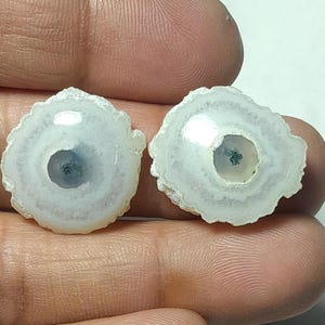May include: Two polished, circular gemstones with a white and light brown outer edge and a central, dark blue-grey core. The gemstones are held in a hand, showcasing their natural, organic patterns and textures.