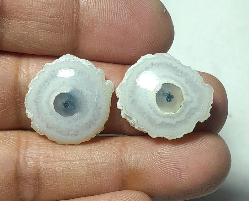 May include: Two polished, circular gemstones with a white and light brown outer edge and a central, dark blue-grey core. The gemstones are held in a hand, showcasing their natural, organic patterns and textures.