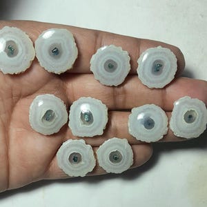 May include: A collection of eleven white and gray agate slices with a circular design. Each slice has a central dark blue or green spot, and a textured, uneven edge. The slices are displayed on a hand.