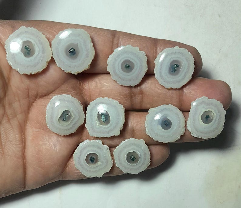May include: A collection of eleven white and gray agate slices with a circular design. Each slice has a central dark blue or green spot, and a textured, uneven edge. The slices are displayed on a hand.