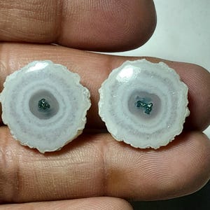 May include: Two polished, circular gemstones with a white and lavender color scheme. Each stone has a central dark green cluster surrounded by concentric rings of white and lavender. The edges are scalloped, giving them a natural, organic look.