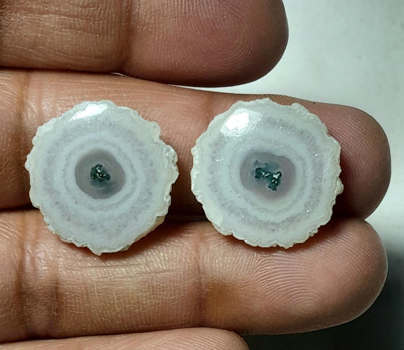 May include: Two polished, circular gemstones with a white and lavender color scheme. Each stone has a central dark green cluster surrounded by concentric rings of white and lavender. The edges are scalloped, giving them a natural, organic look.