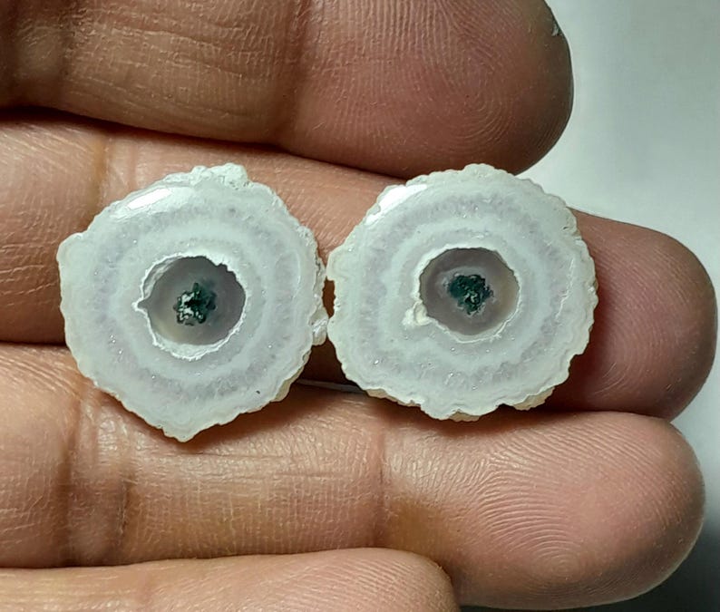 May include: Two polished, circular gemstones with concentric rings of white and pale lavender. Each stone has a dark green center. The stones are held between fingers, showcasing their natural beauty and unique patterns.