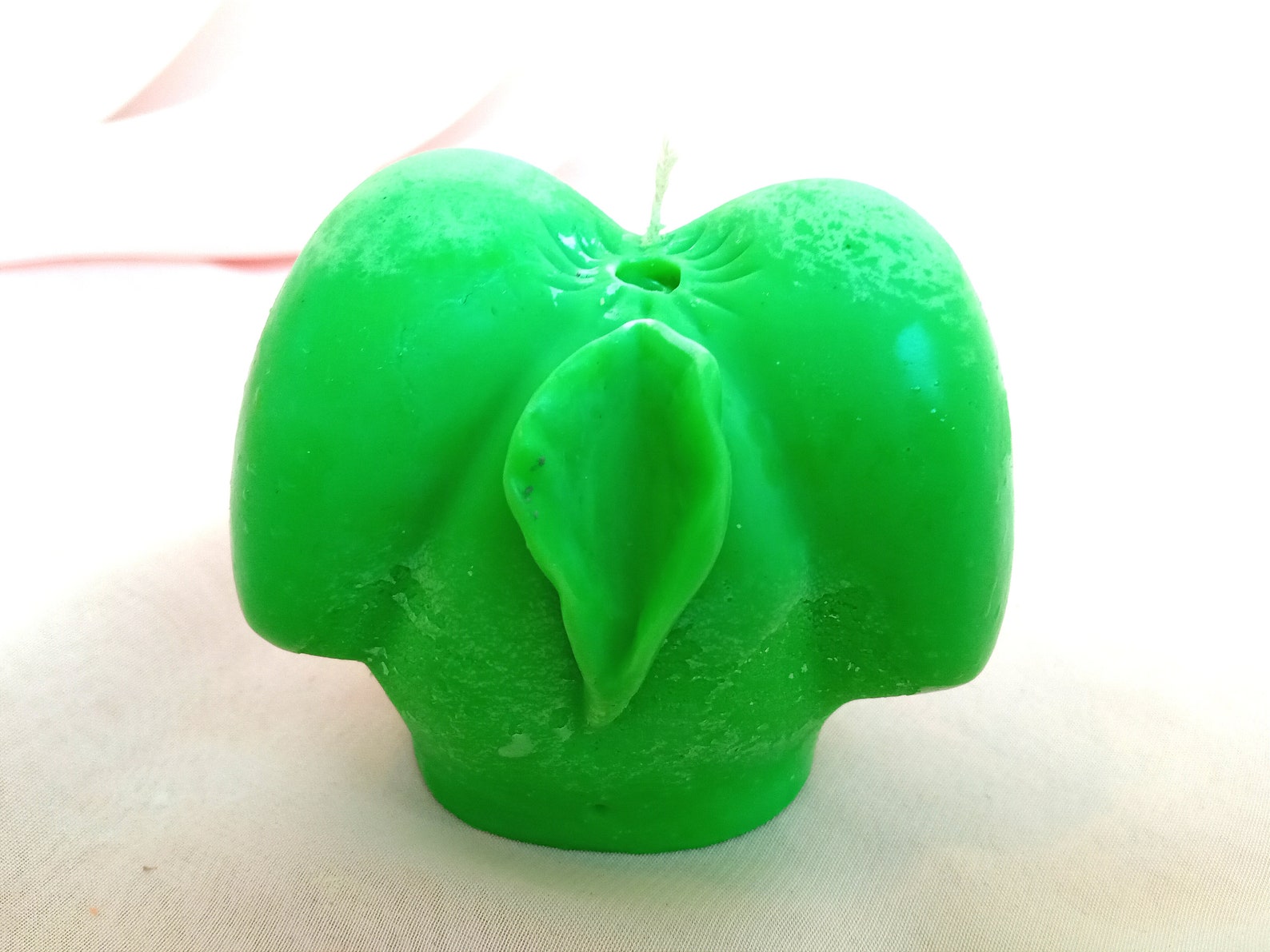 Pussy Scented 100 Soy Wax Candle Multicolor Pussy Dick Etsy