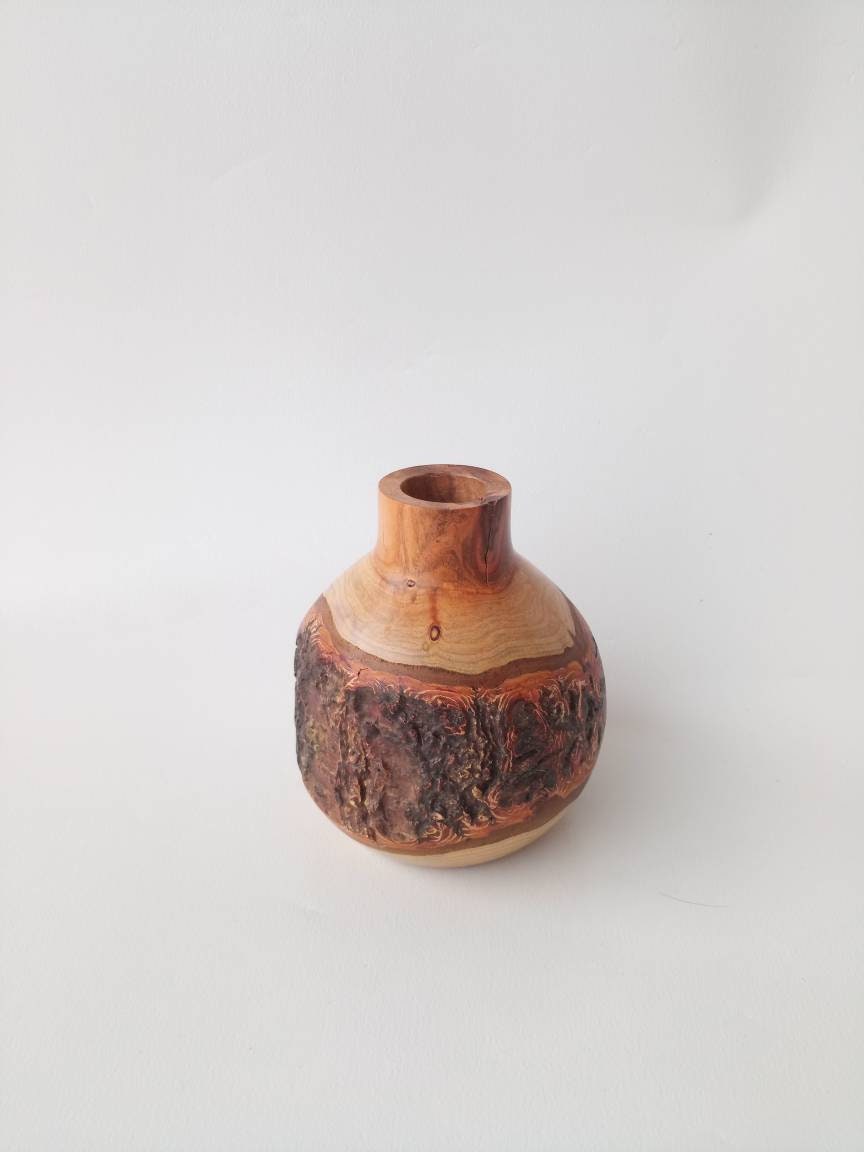 Vase en Bois d'abricotier, Écorce Apparente, Pour Fleurs Séchées, Tournage Main