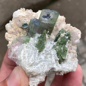 Watermelon Tourmaline Terminated Crystals Bunch