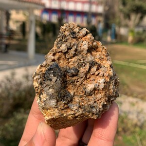 DT Quartz Crystals With Aegirine / Rutile Inclusions Sitting On Mother-Rock Combine Specimen From Zagi Mountains KPK Pakistan A14