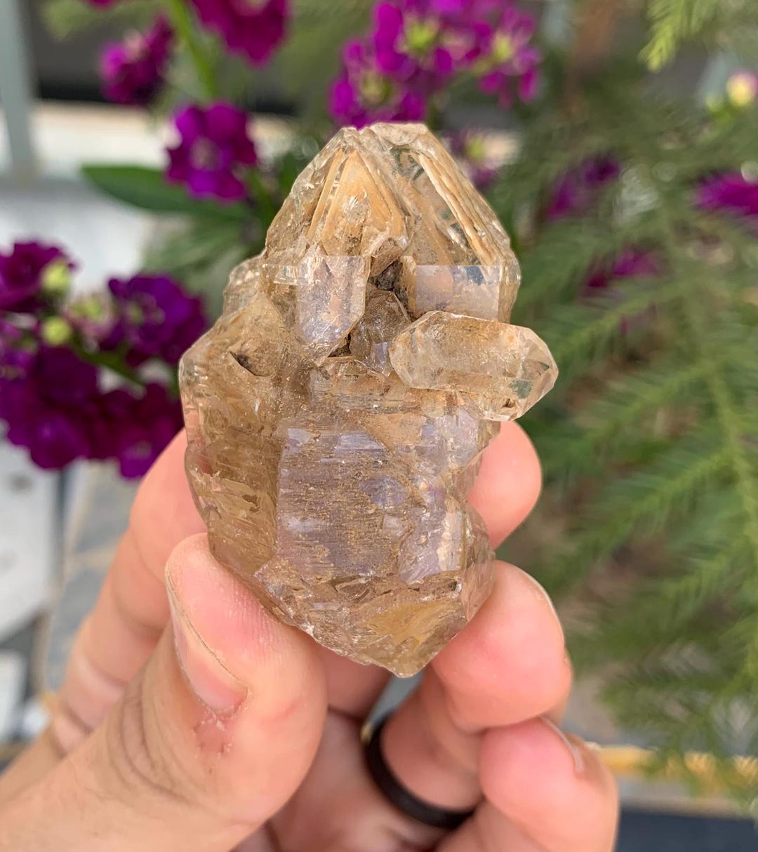 Window Quartz / Skeletal Quartz / Fenster Quartz Crystal With Brown ...