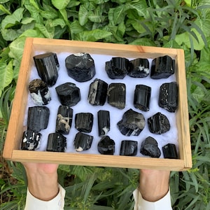 Grade A++ Shiny Black Tourmaline Terminated Crystals Lot / Deal / Wholesale Lots / Deal Tourmaline Cluster (A:2)