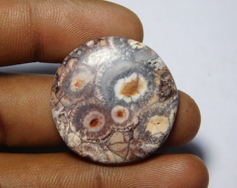 Bird Eye Jasper Stone Healing Loose Hand Polish 26X26X04 MM Valentine Gift Stone Rare Quality Bird Eye Jasper Gemstone Birth Stone US-3438
