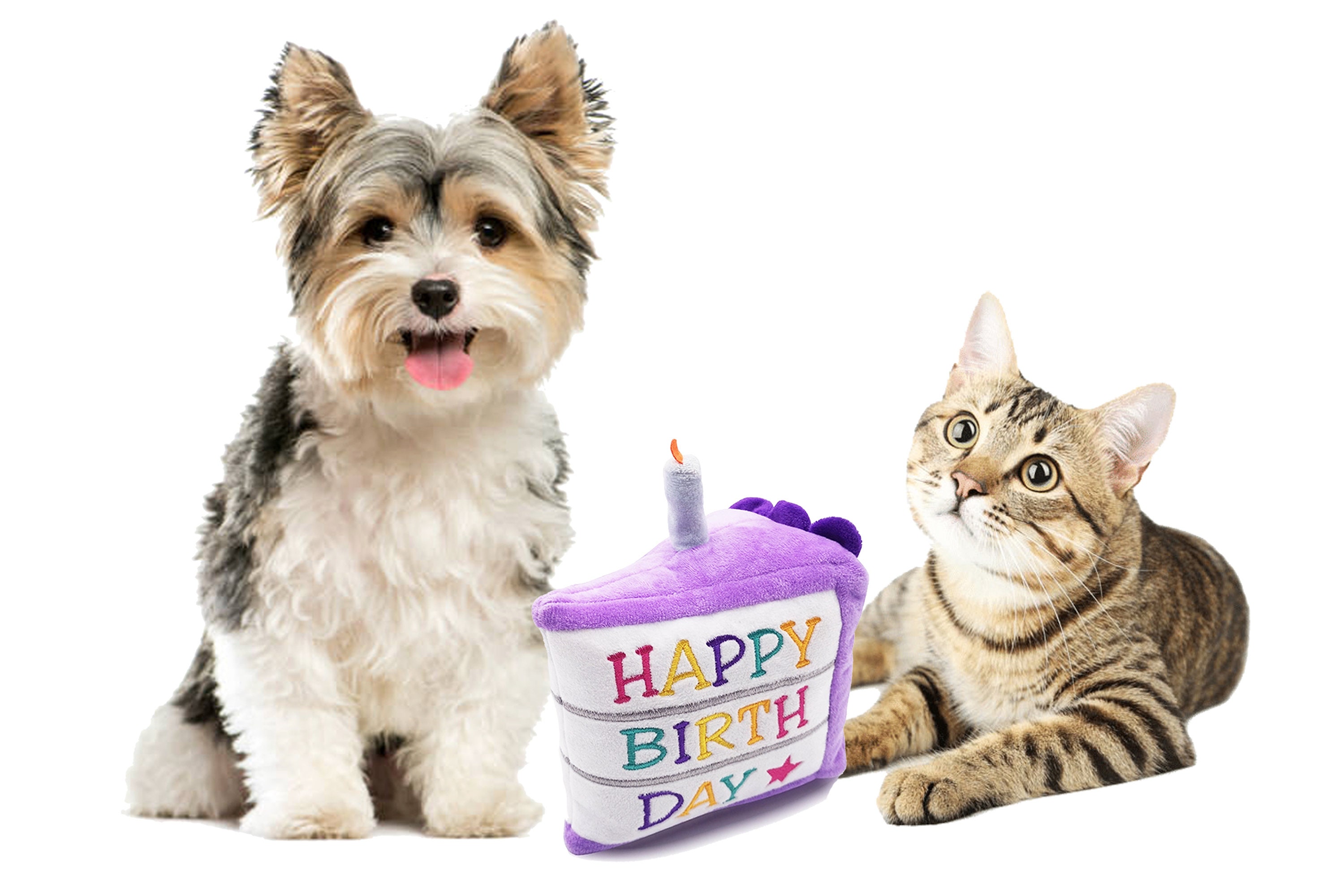 Dog Birthday Cake Toy Happy Birthday Cat Toy Dog & Cat | Etsy