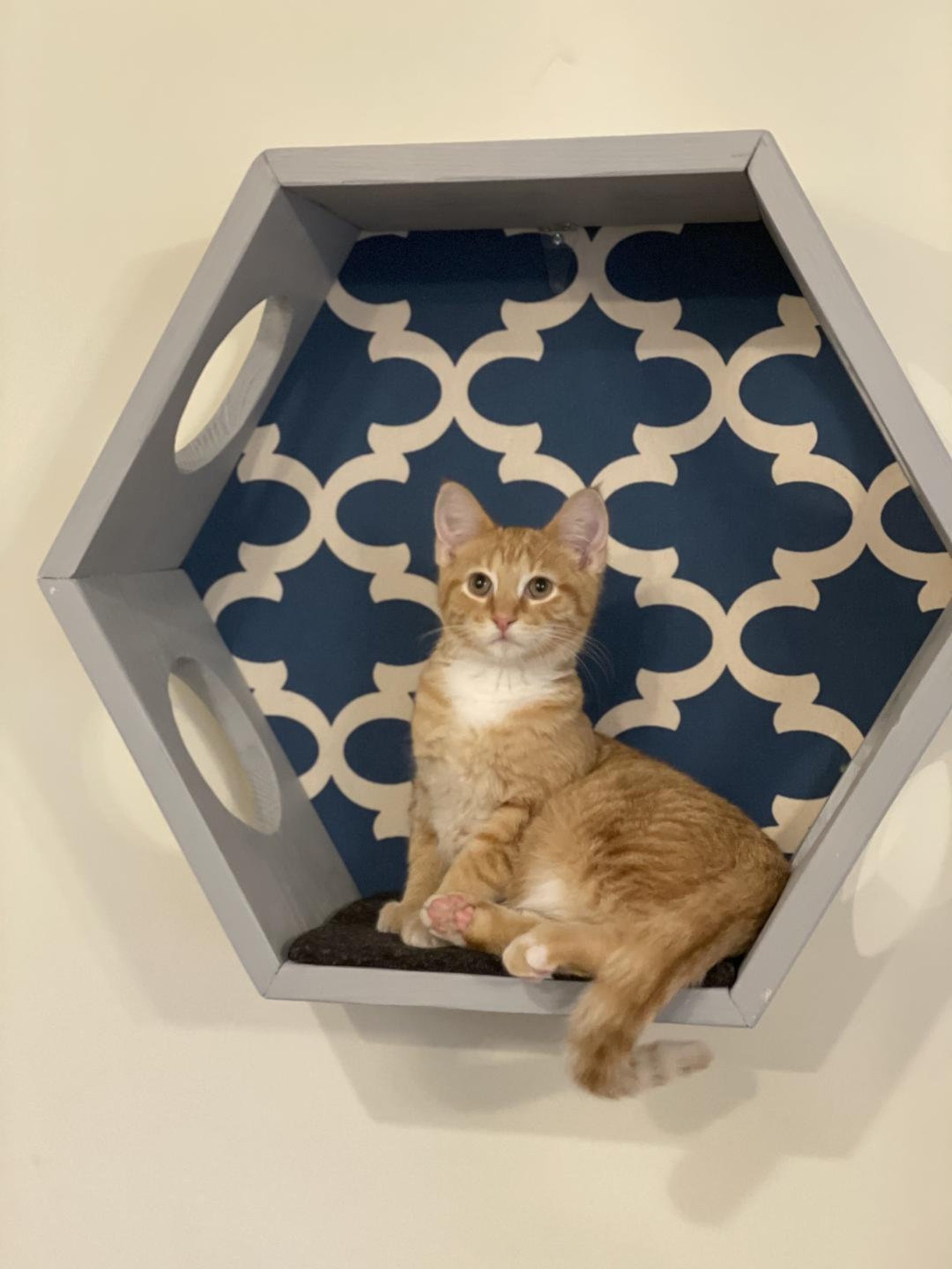 Cat Shelf Cat Hexagon Cat Wall Shelves Unique Cat Bed Etsy