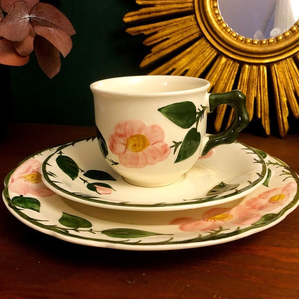 Kaffeegedeck, VILLEROY & BOCH WILDROSE, rosa Blüten, Blätter, Klassiker Alte Serien 70er und 80er Jahren, Handmalerei Landhausstil, Vintage