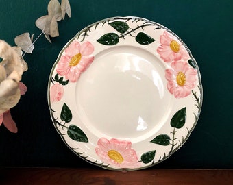 PIATTO DA PRANZO VILLEROY & BOCH decoro rosa canina, fiori rosa, foglie, Ø 26 cm, classico, vecchia serie, dipinto a mano, stile country, decoro vintage