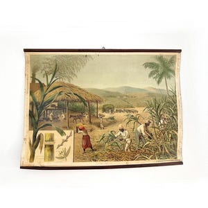 Vintage Schulkarte, Schulplakat, Schulwandkarte, Lehrtafel, Lehrmittel Thema Zuckerrohr Ernte Südamerika, Made in Österreich – Wien um 1940