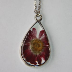 Prairie Aster Seeds Teardrop Pendant Necklace