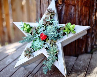 DIY Vertical Star Planter for Succulents Plans [Hanging Garden Planter, Succulent Centerpiece, Succulent Arrangement, Flower, Gift for Her]