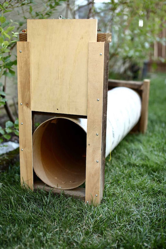 DIY Skunk Trap Using a Concrete Form Tube Plans spray Proof Trap, Planning  and Control, Animal Control, Wildlife Removal -  Canada