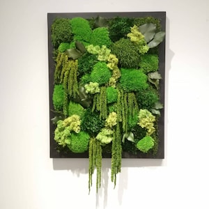 Moss Wall Art,Plant Preserved Moss Wall Decor Living Wall Art Plant Wall Hanging Framed Botanical Wall Art,Eco friendy home decor Moss Frame
