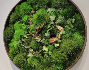 Round Moss Wall Art: Handmade Preserved Botanical Decor