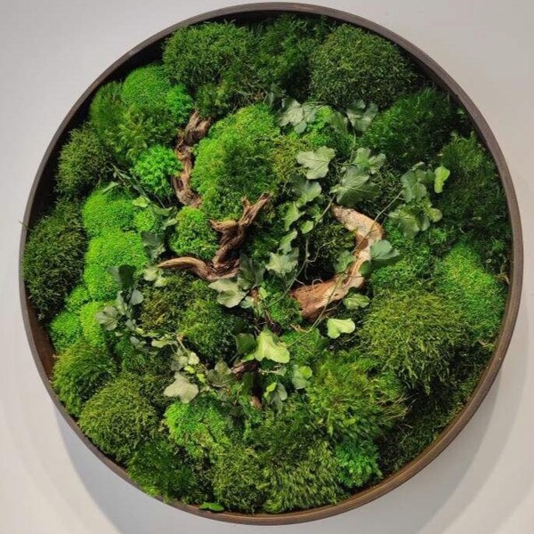 11 Round Wood Wall Art Etsy Canada